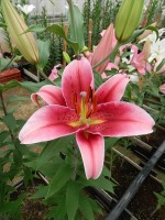 [5624 VH54 No02.JPG]